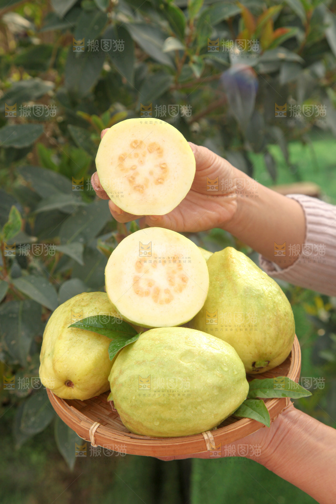 奶油芭乐