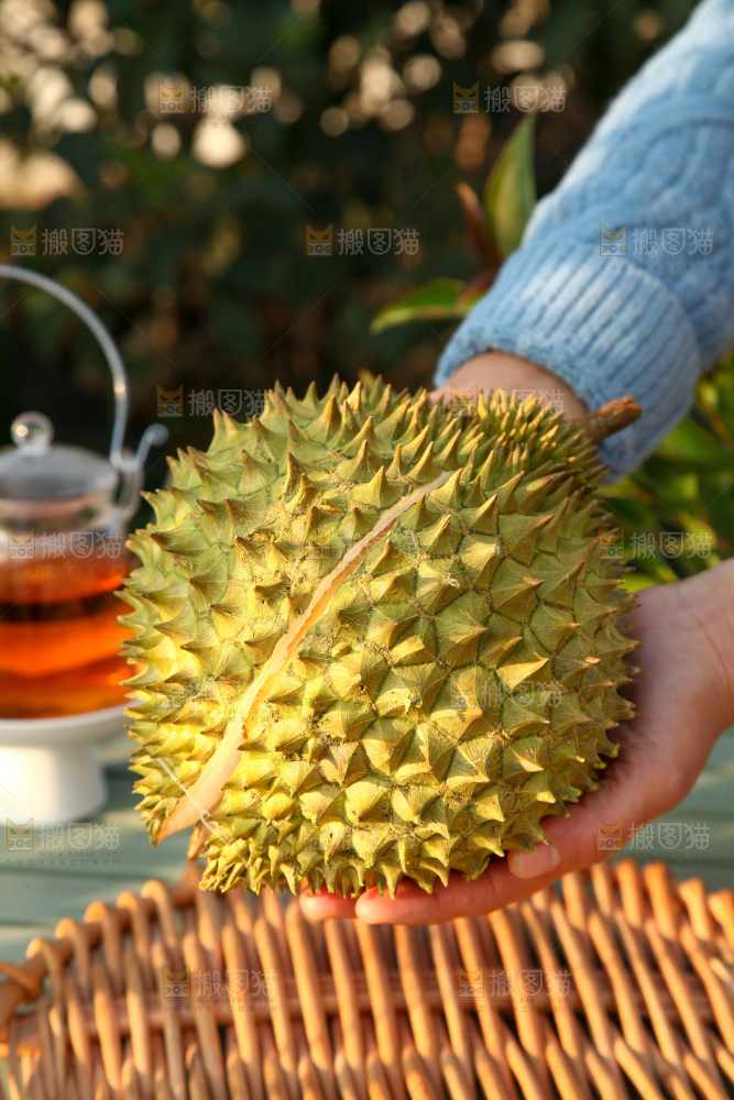 巴掌榴莲