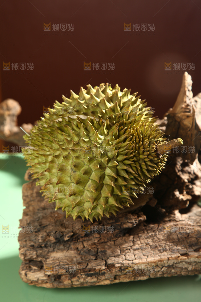巴掌榴莲