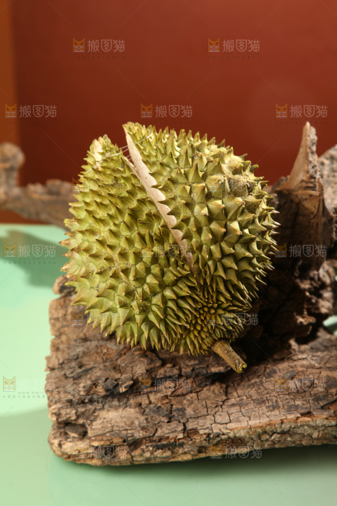 巴掌榴莲