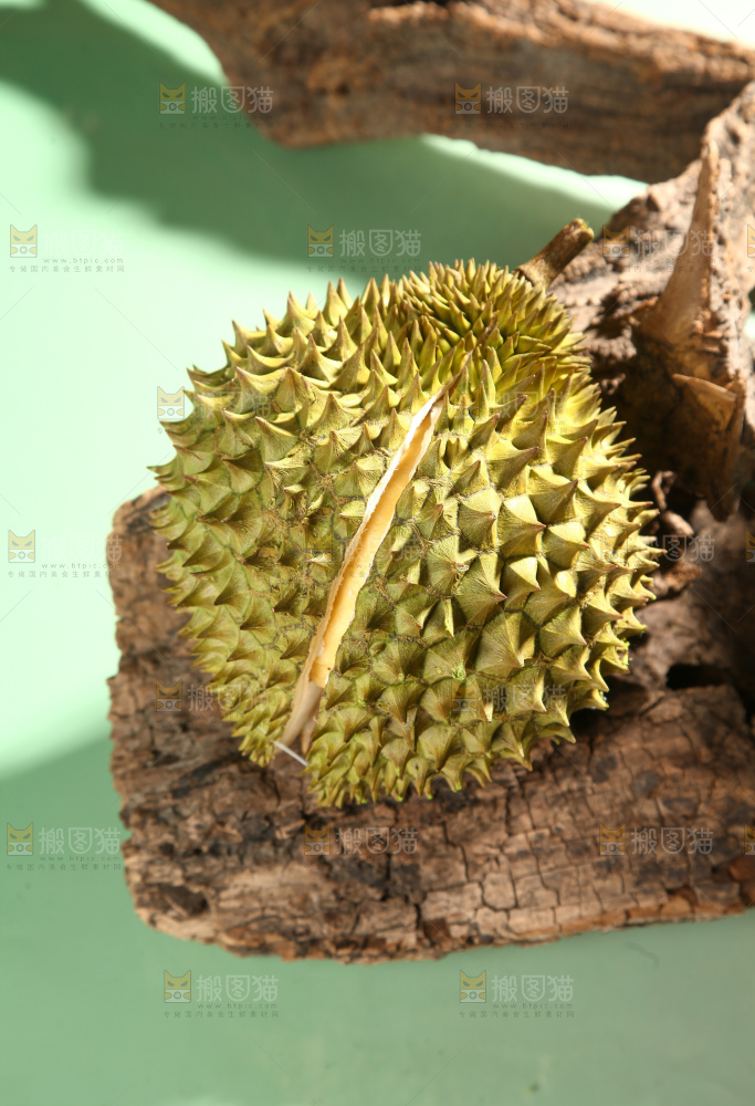 巴掌榴莲