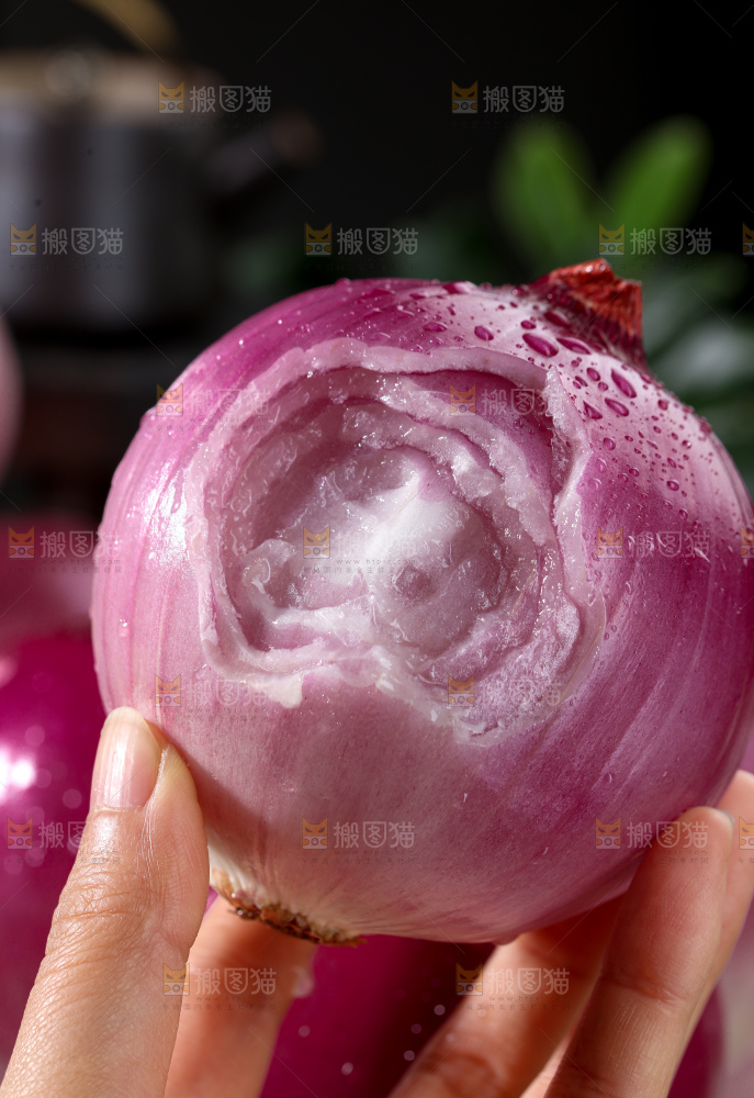 洋葱