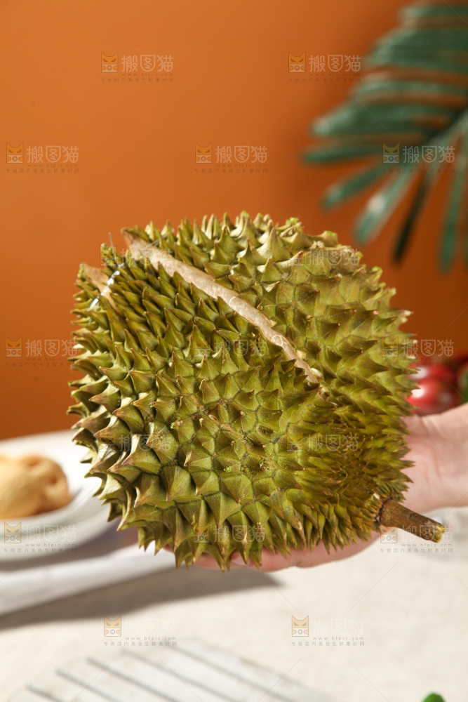 巴掌榴莲