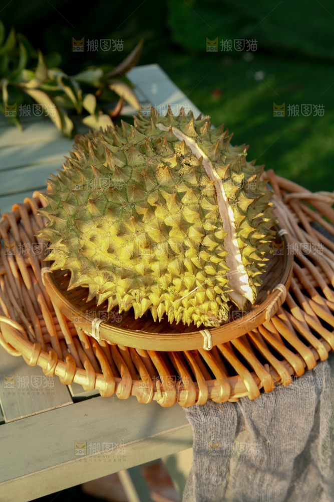 巴掌榴莲