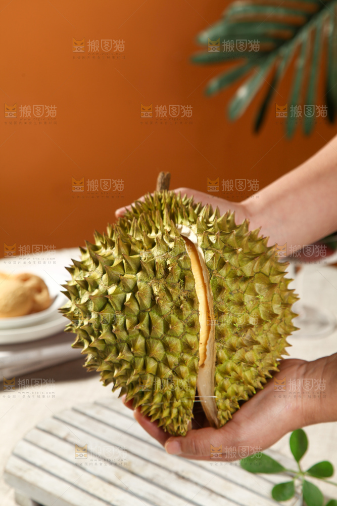 巴掌榴莲