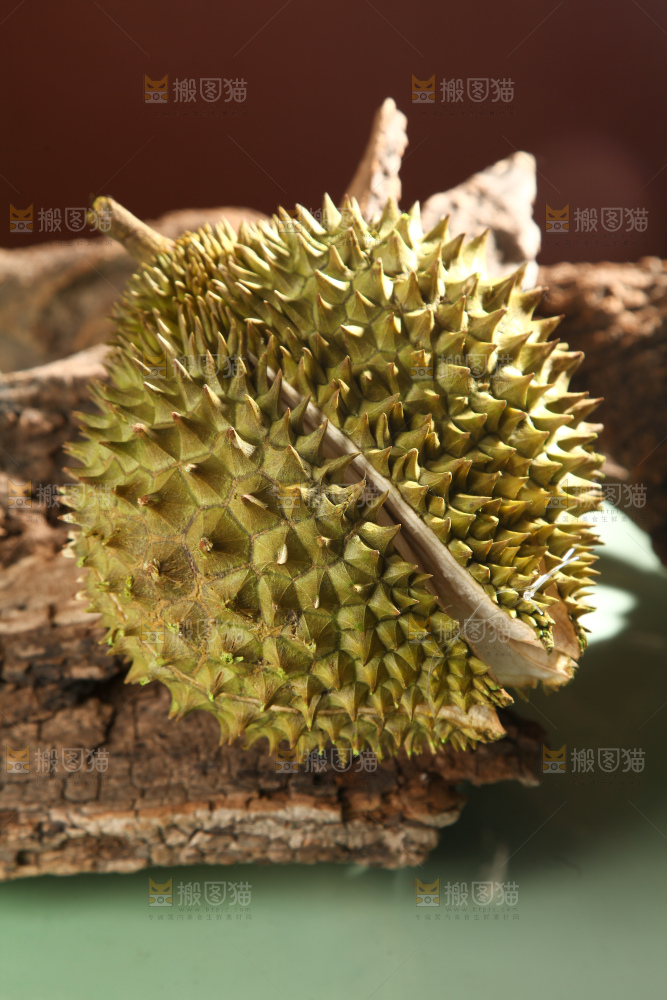 巴掌榴莲