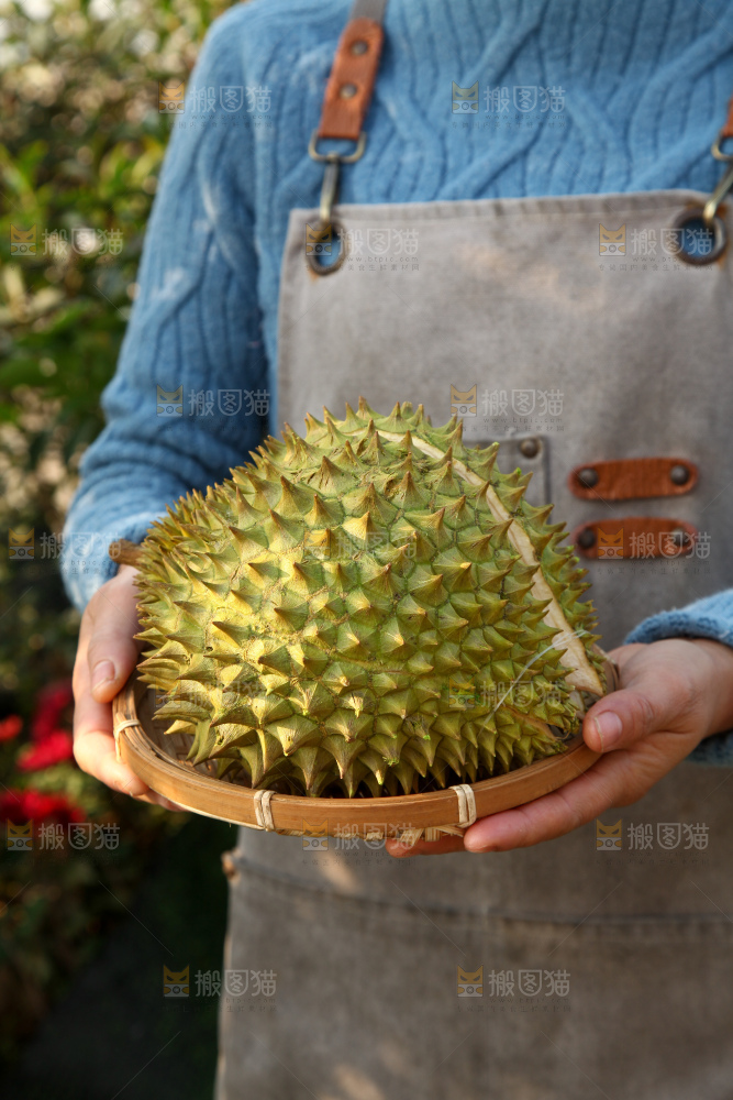 巴掌榴莲