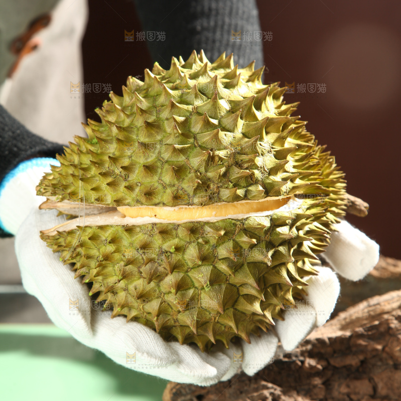 巴掌榴莲