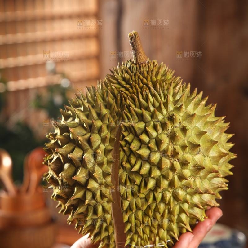 巴掌榴莲