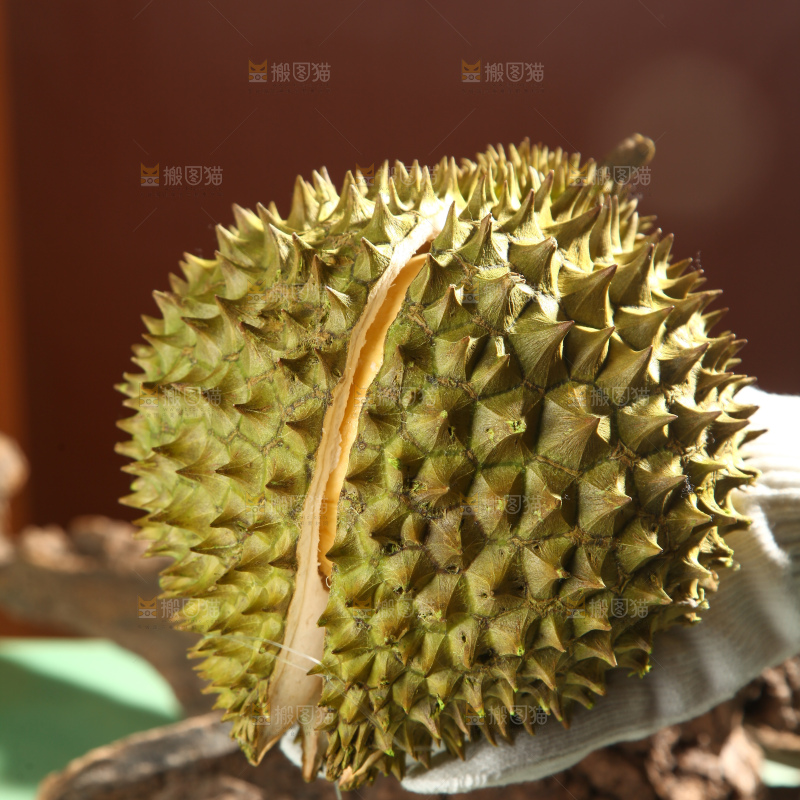 巴掌榴莲