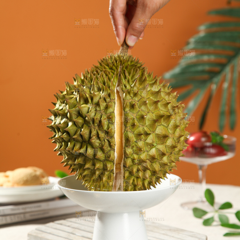 巴掌榴莲
