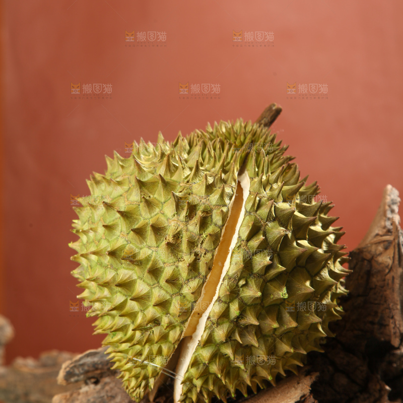 巴掌榴莲