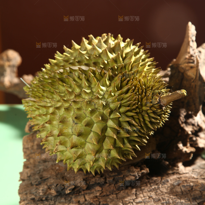 巴掌榴莲
