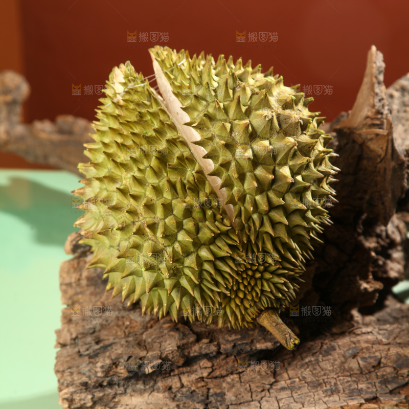 巴掌榴莲