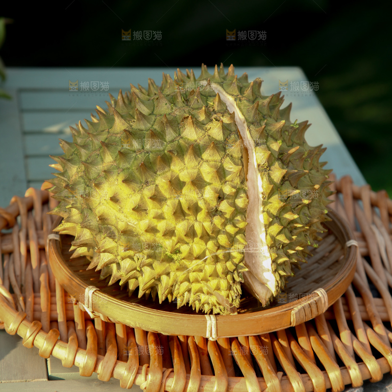 巴掌榴莲