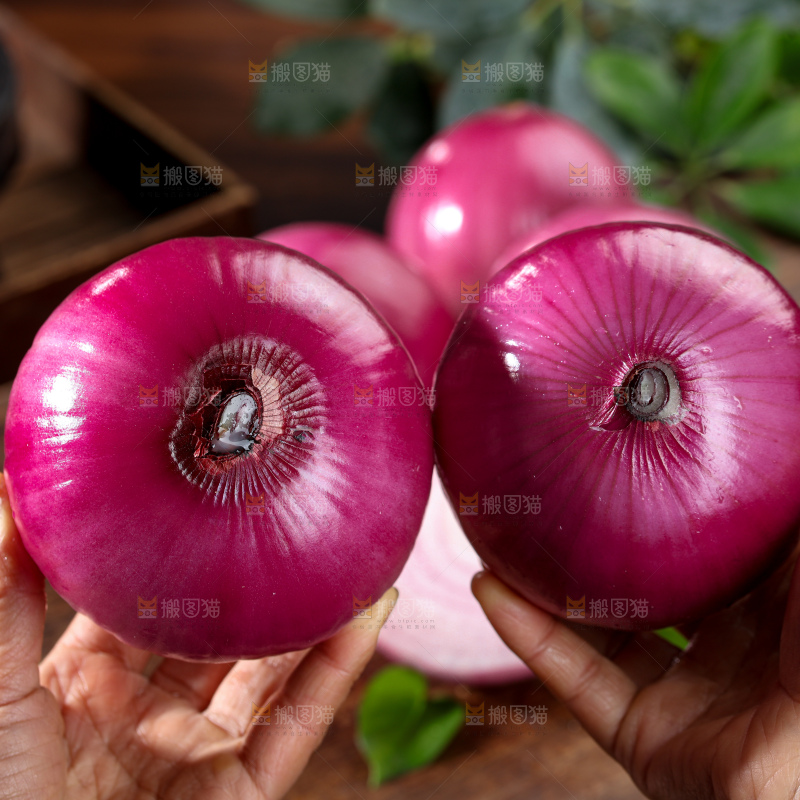 洋葱