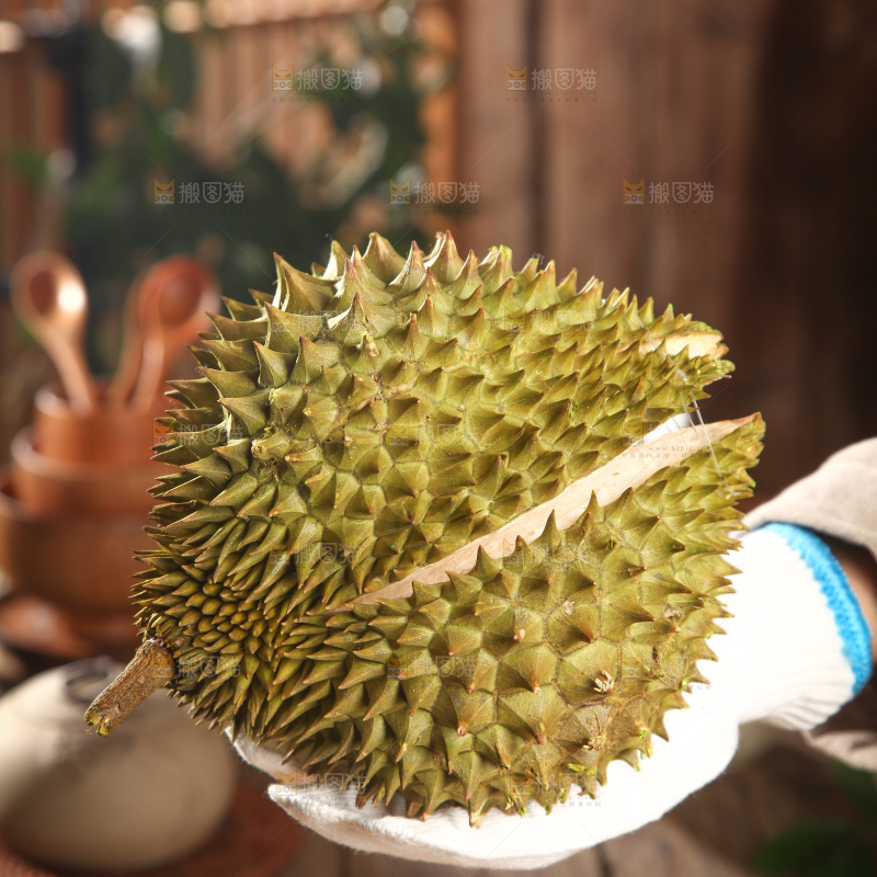 巴掌榴莲