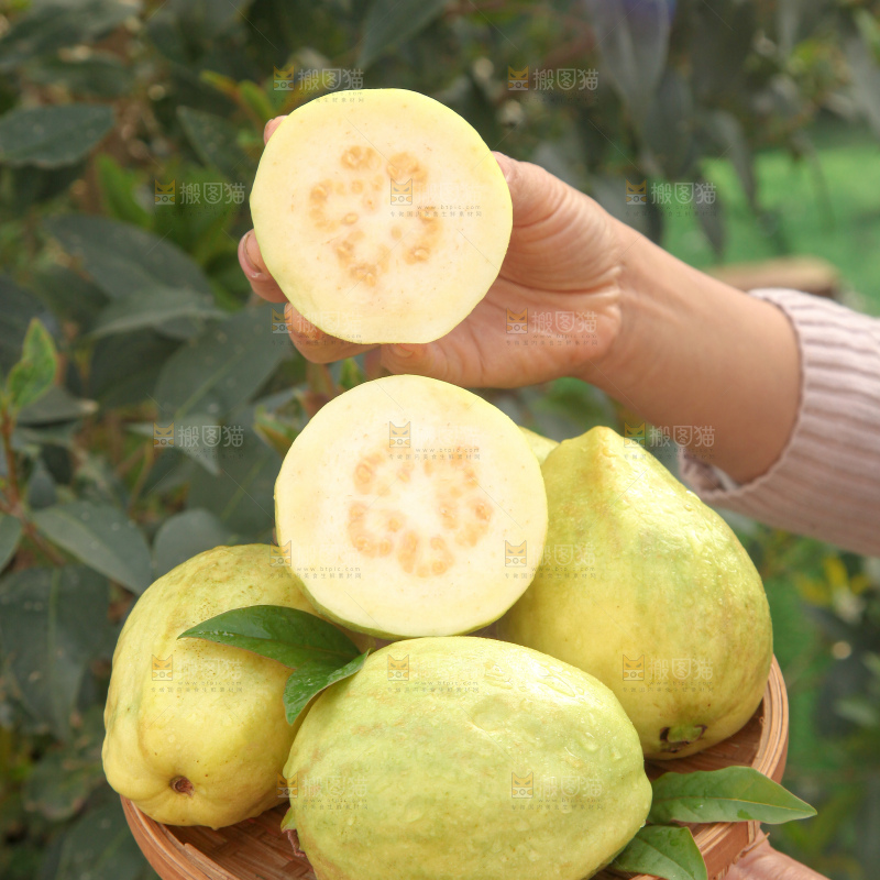 奶油芭乐
