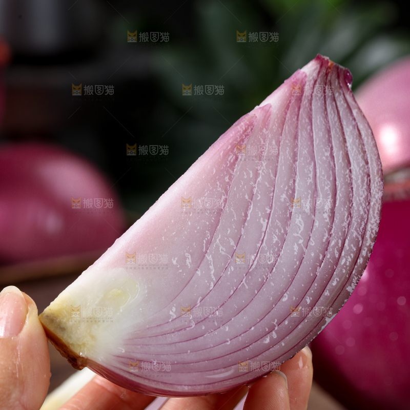 洋葱