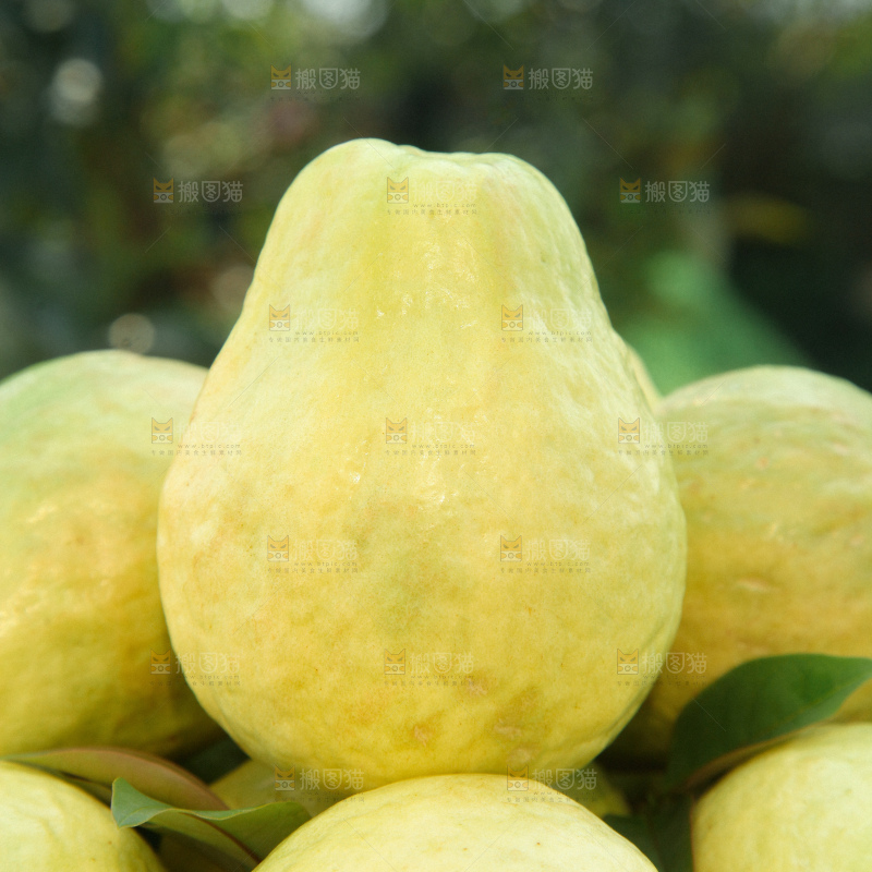 奶油芭乐