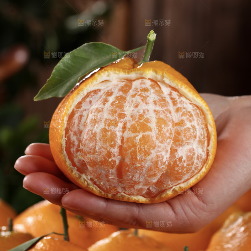 春见耙耙柑