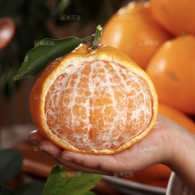 春见耙耙柑