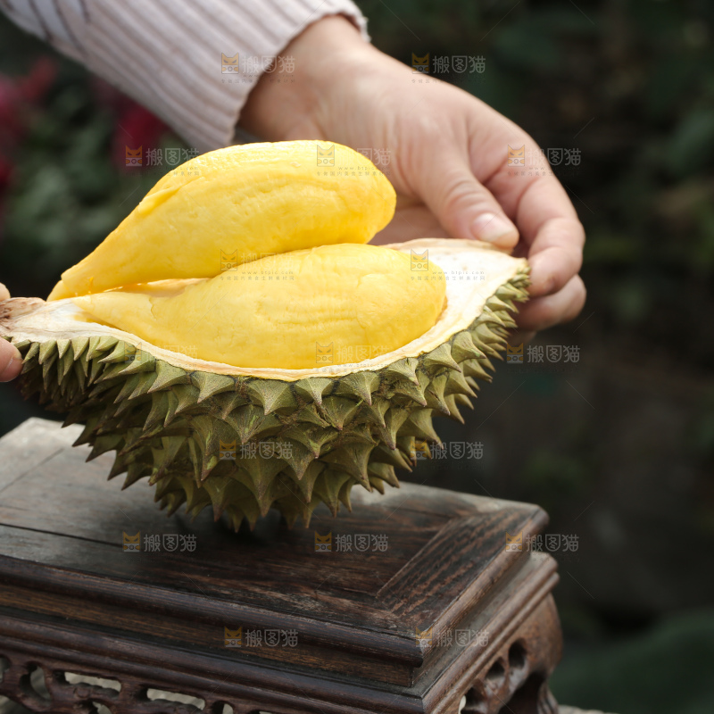 巴掌榴莲