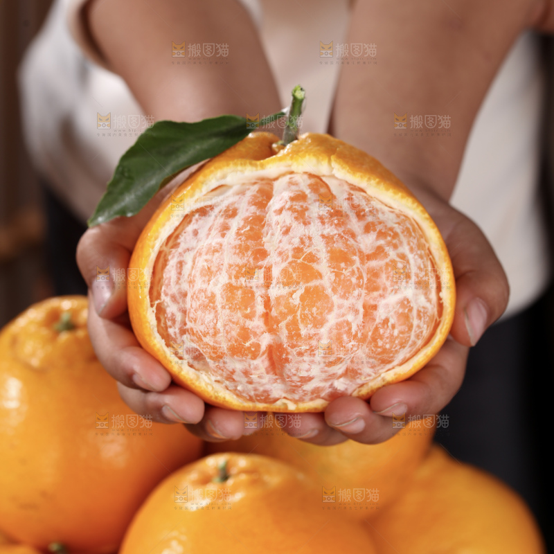 春见耙耙柑