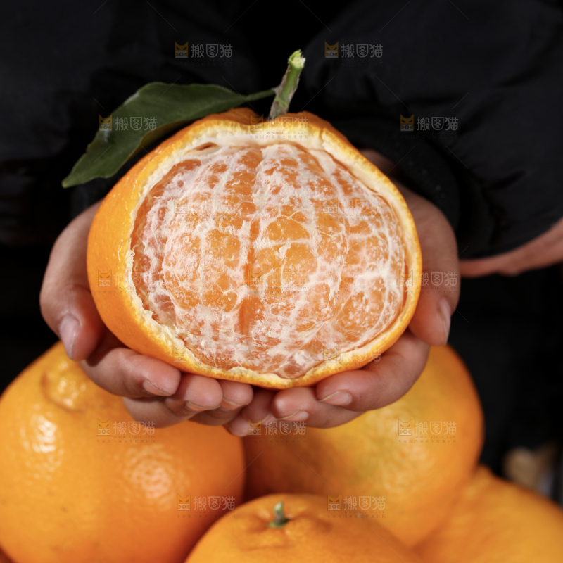 春见耙耙柑