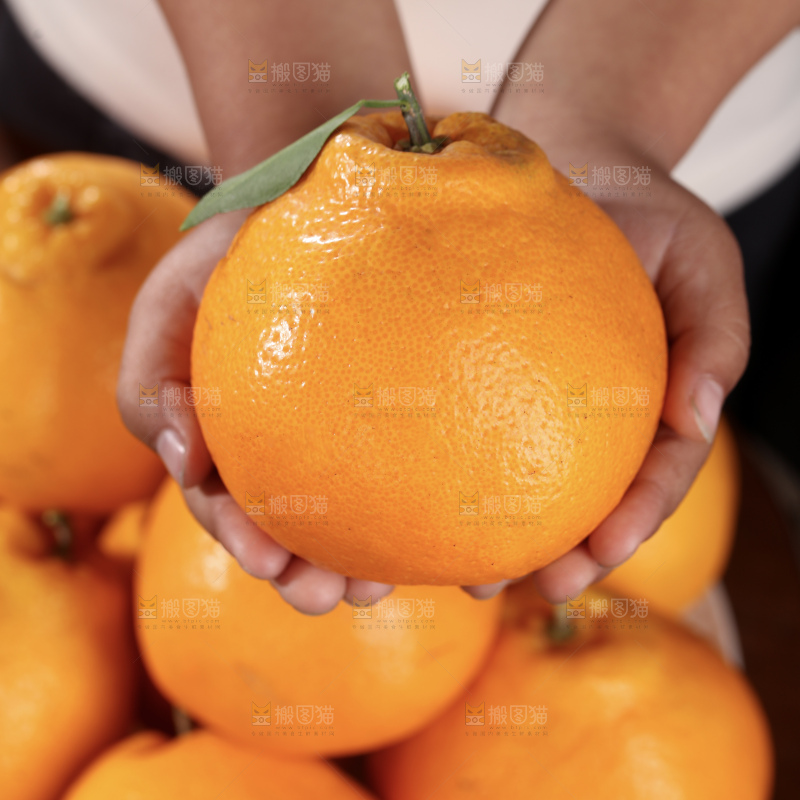春见耙耙柑