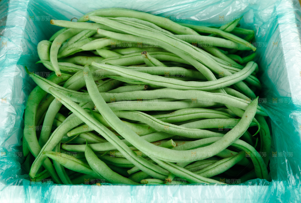 四季豆