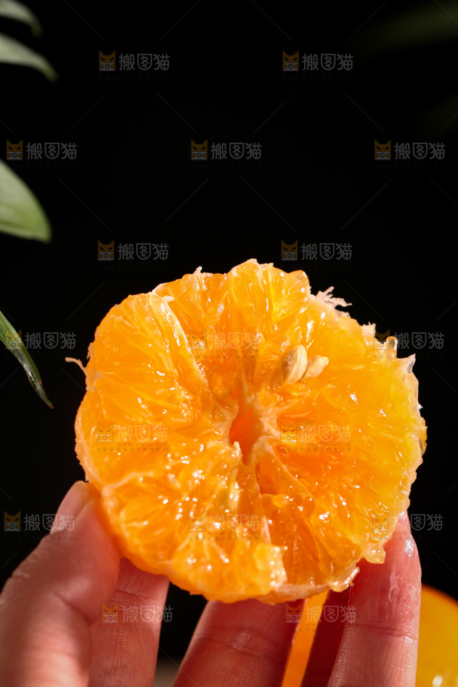 沃柑