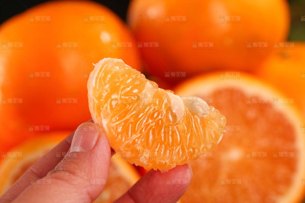 沃柑