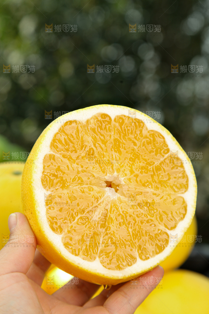 黄金葡萄柚