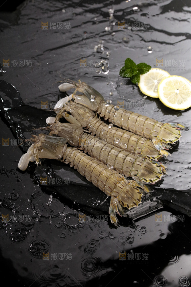 皮皮虾