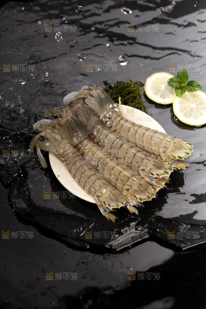 皮皮虾