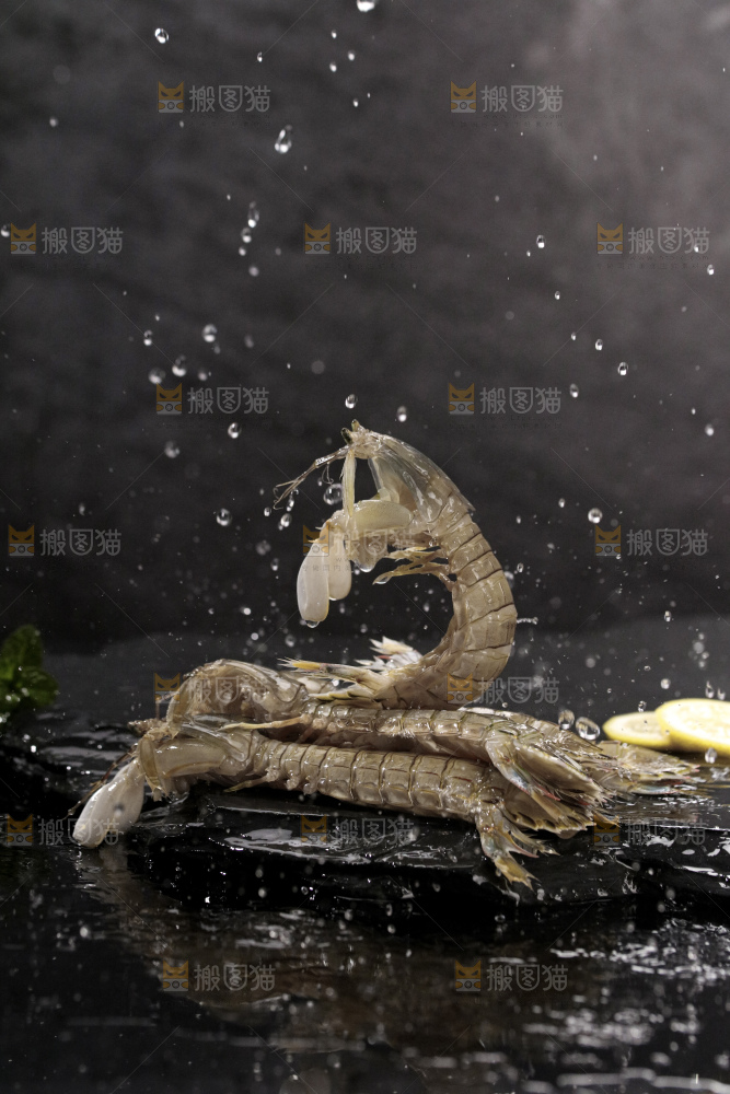 皮皮虾