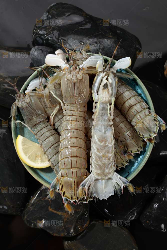 皮皮虾