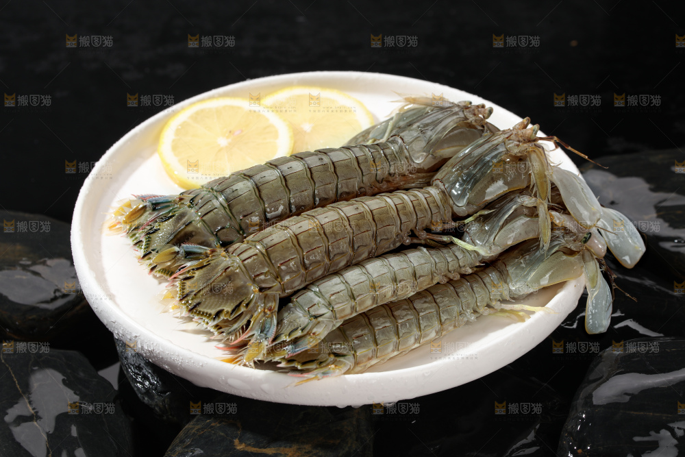 皮皮虾