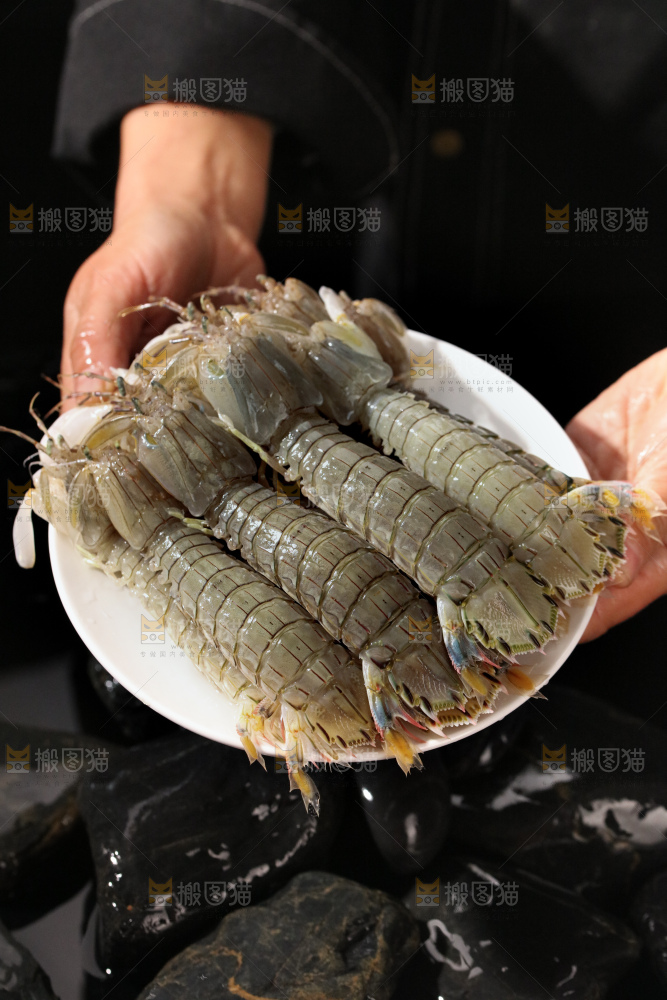 皮皮虾