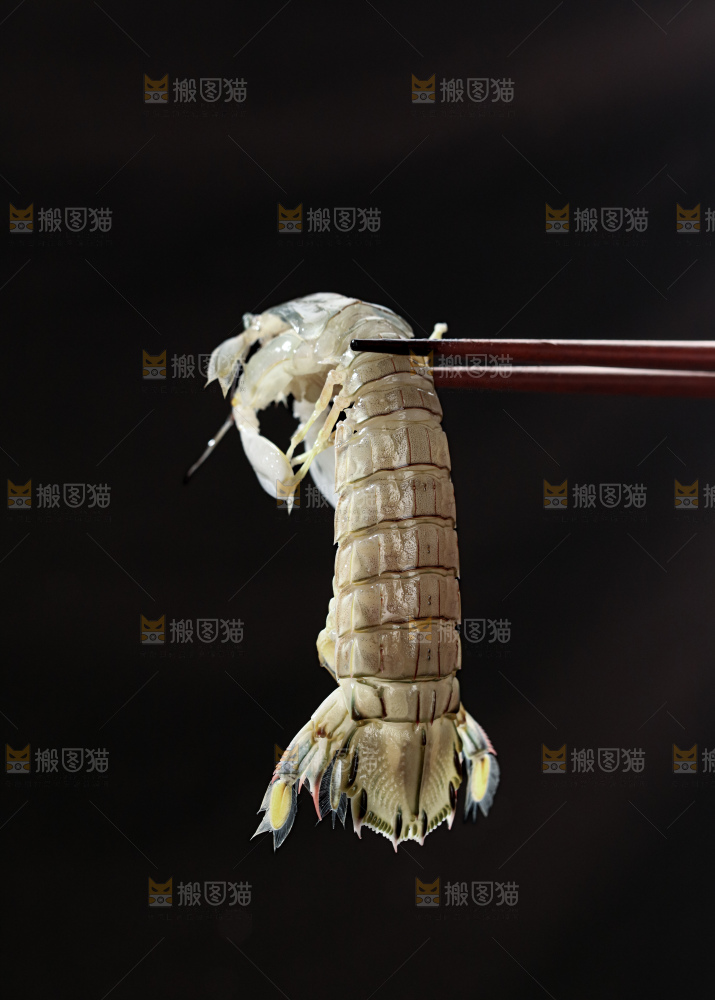 皮皮虾