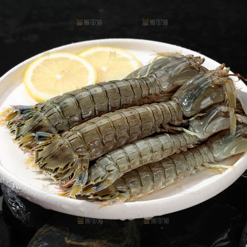 皮皮虾