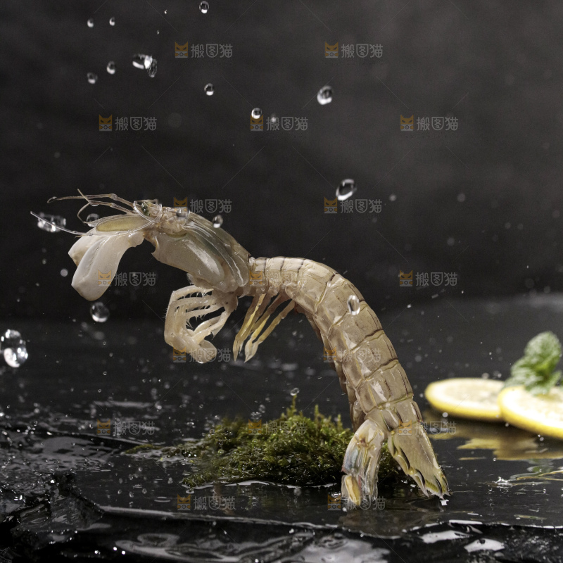 皮皮虾
