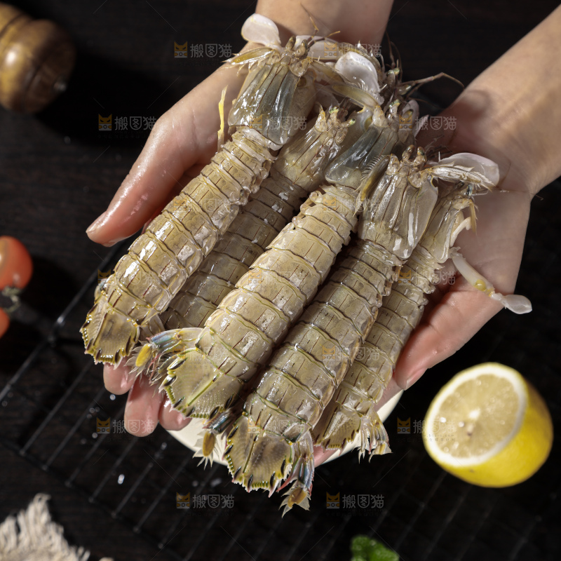 皮皮虾