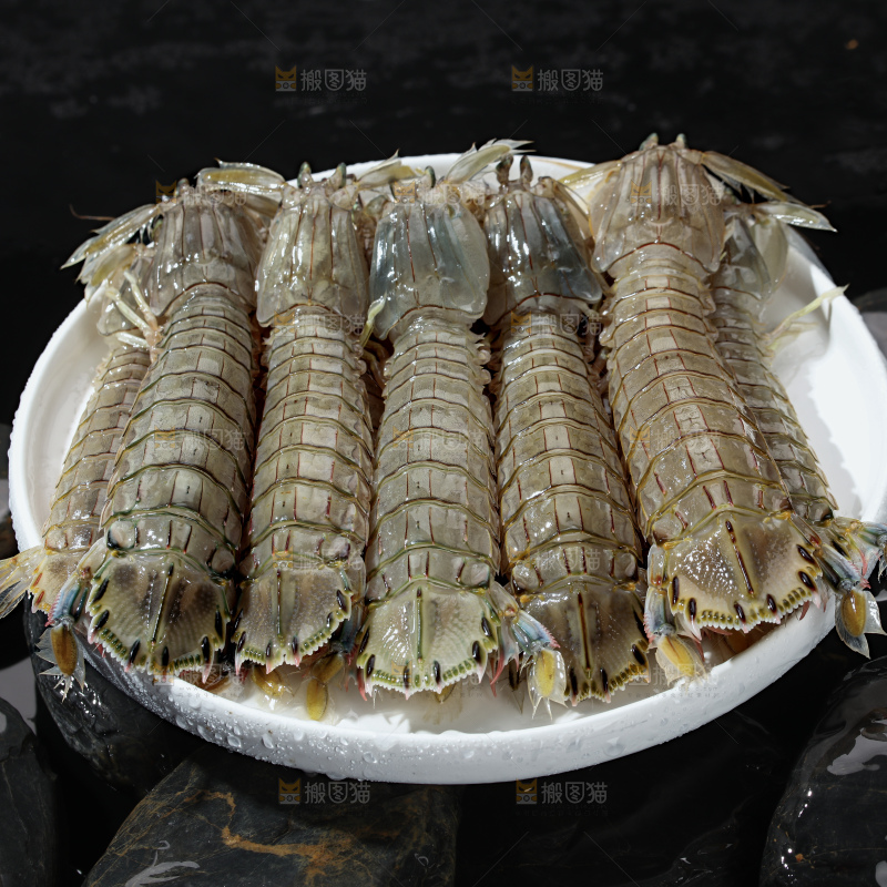 皮皮虾