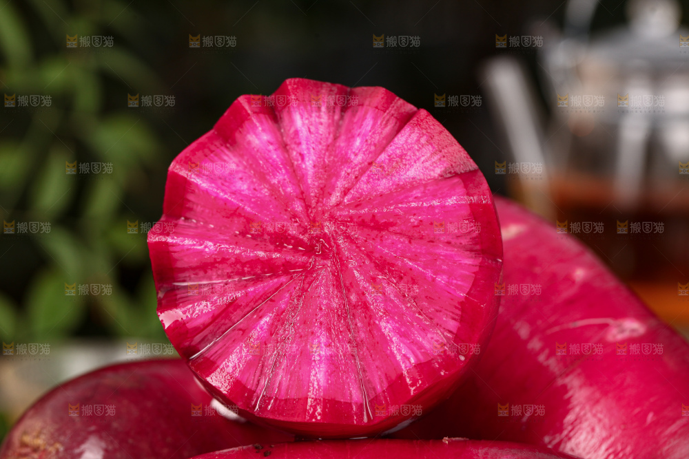 紫美人萝卜