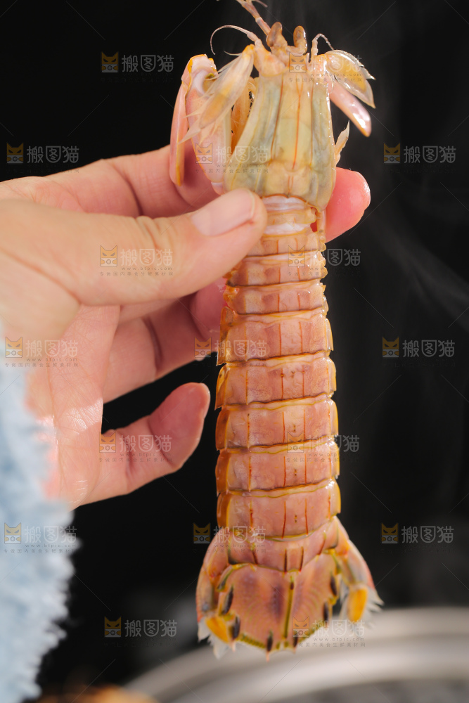 清蒸皮皮虾
