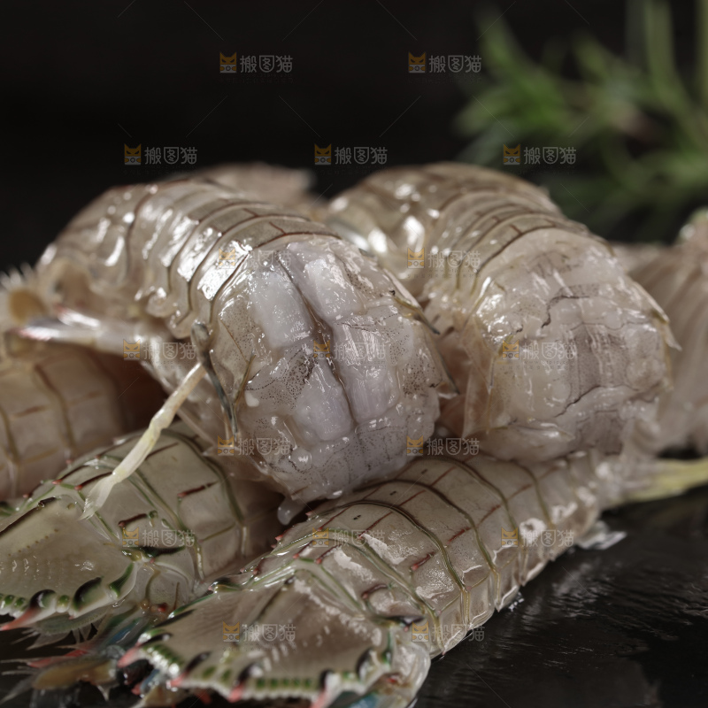皮皮虾