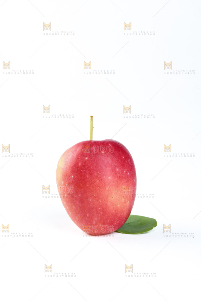 鸡心果
