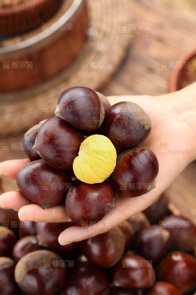 丹东大板栗